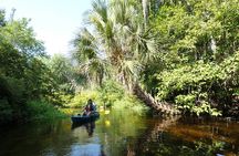 Small Group Scenic Wekiva River Kayak Tour near Orlando