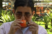 Rio Tropical Fruit Tour: Market Walk + Guided Tasting