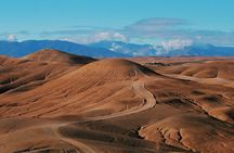 Quad, camel and dinner with show in the desert of Agafay