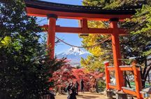 Mt. Fuji 5th Station, Oshino Hakkai and Hot Spring Day Trip