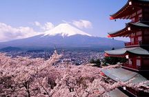 Mt. Fuji 5th Station, Oshino Hakkai and Hot Spring Day Trip