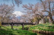 Mt. Fuji 5th Station, Oshino Hakkai and Lake Kawaguchiko Day Trip