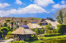 Tokyo: Instagram-Worthy Mt Fuji & Lake Kawaguchiko Day Trip