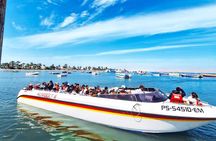 Trip and Tour to Paracas, Huacachina and Winegrowers