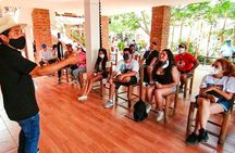Trip and Tour to Paracas, Huacachina and Winegrowers