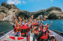 Trip and Tour to Paracas, Huacachina and Winegrowers