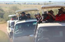 Epic 5-Day Kenya Safari – Big Five Experience
