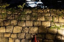 Samurai-specific Osaka Castle Guides Private tours in armor Photo