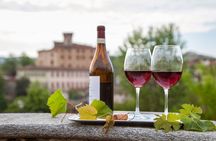 Barolo wine Tasting, Alba, UNESCO Castle: Small Group from Milan