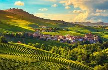 Barolo wine Tasting, Alba, UNESCO Castle: Small Group from Milan