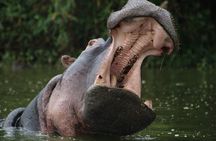 1 Day Tanzania Sharing Budget Group joining Tour to Ngorongoro