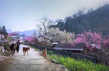 Private 4 Day Ha Giang Loop Adventure All Inclusive Car Tour