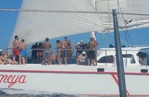 Saona Island Full-Day Tour from Punta Cana Bayahibe All Inclusive