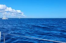 Saona Island Full-Day Tour from Punta Cana Bayahibe All Inclusive