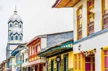 Filandia, Salento and Cocora Valley Tour