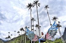 Filandia, Salento and Cocora Valley Tour