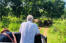 Jeep Safari 