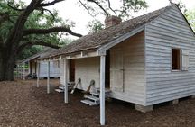 Full Day Plantation -N- Swamp Tour in New Orleans