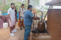 Mezcal Tour