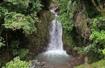 Tour Guiado por Saltos de Filipina en Sora desde Ciudad Panamá