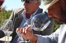 Wine Maker Hosted Wine Tasting Private Tour with Artisan Lunch