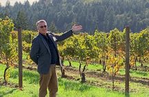 Wine Maker Hosted Wine Tasting Private Tour with Artisan Lunch