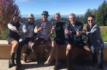 Wine Maker Hosted Wine Tasting Private Tour with Artisan Lunch