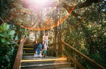 Tour with Navigation to the Arrayanes Forest and Victoria Island