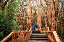 Tour with Navigation to the Arrayanes Forest and Victoria Island