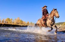 3 Hour Horseback Riding in Jackson Hole