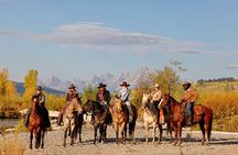 3 Hour Horseback Riding in Jackson Hole