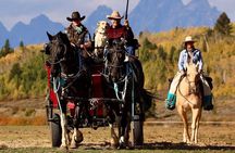 3 Hour Horseback Riding in Jackson Hole