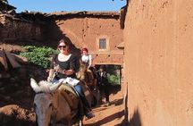 Atlas Mountains Day Trip & Desert Agafay from Marrakesh