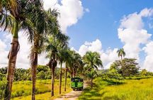 Full Dominican Adventure: Zipline, ATV Buggie, Horseback & Safari