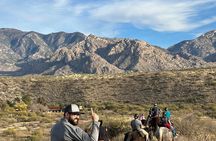 One Hour Guided Horseback Ride