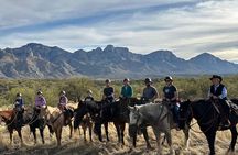 One Hour Guided Horseback Ride