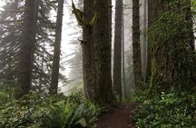 Silver Falls Waterfall Hiking Tour from Portland
