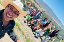 Agave Adventures Mexico