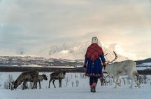 Reindeer Feeding and Sami Culture Afternoon Departure
