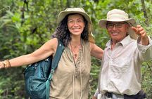 Adventure with Turtles, Lava Tunnels and Los Gemelos Craters