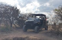 Private Tour of Huasca de Ocampo in Razer Ranger