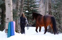 Yoga with Horses