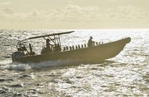 Private Charter Sunset Sailing Cruise W Drinks