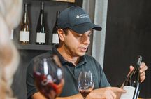 Waiheke Island Authentic Scenic Premium Wine Tastings Tour
