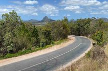 Australia Zoo, Glass House Mountains Tour Combo