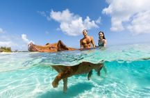  Swim with the Pigs Safari in Bahamas (2hrs)