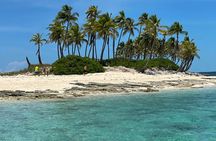  Swim with the Pigs Safari in Bahamas (2hrs)