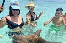  Swim with the Pigs Safari in Bahamas (2hrs)