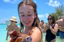  Swim with the Pigs Safari in Bahamas (2hrs)