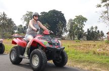 Bali Fun Adventure ATV in Ubud Village